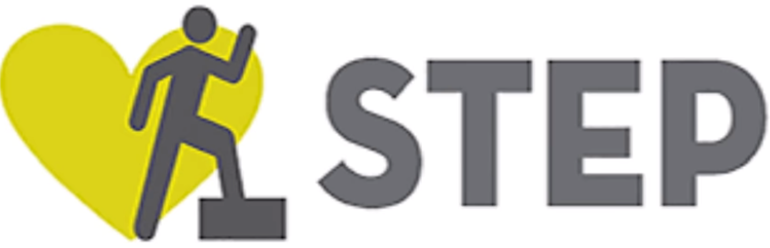 STEP TABATA RENFO ABDOS FESSIERS